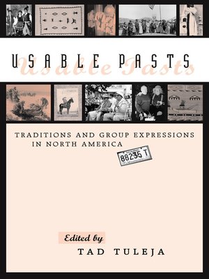 cover image of Usable Pasts